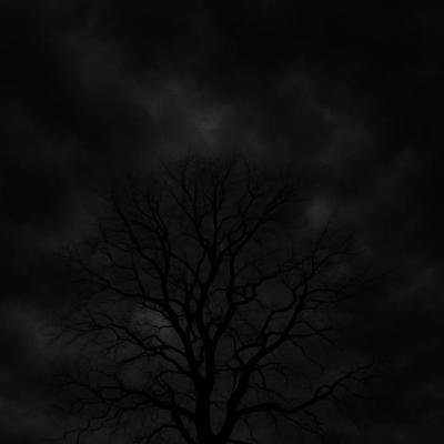 راندفو شات ملكي شات عربي دردشات وتعارف