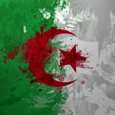 شات ملكي راندفو شات عربي راندفو العرب شات الجزائر