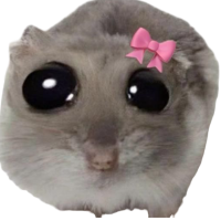 راندفو شات ملكي شات عربي تعارف شباب ملتقى العرب