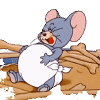 راندفو شات ملكي شات عربي تعارف شباب ملتقى العرب