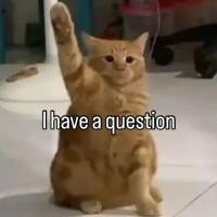 راندفو شات ملكي شات عربي تعارف شباب ملتقى العرب