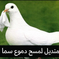 راندفو شات ملكي شات عربي تعارف شباب ملتقى العرب